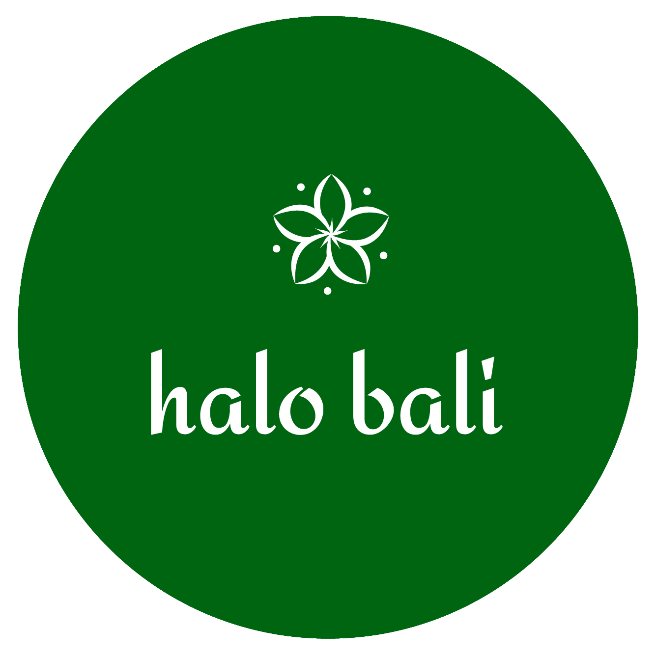 Modern Halal Bali Cuisine - Halo Bali Catering